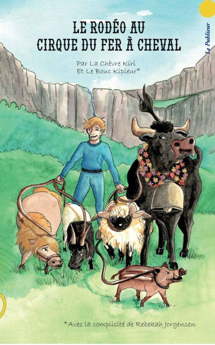 le rodéo au cirque du fer à cheval