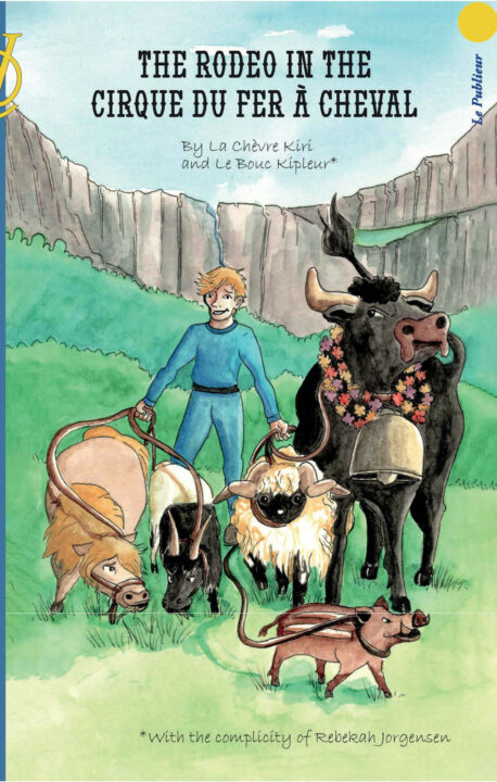 the rodeo in the cirque du fer à cheval